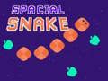 Spel Ruimtelijke Slang online