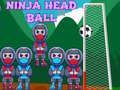 Spel Ninja Hoofd Bal online
