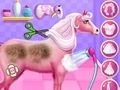Spel Prinses Paardenverzorging online