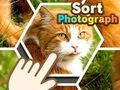 Spel Foto sorteren online