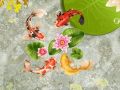 Spel Koi-vijver online
