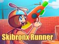 Spel Skibronx Renner online