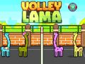 Spel Volley Lama online