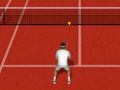 Spel Echte Tennis online