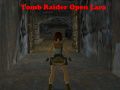 Spel Tomb Raider: Open Lara online