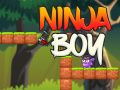 Spel Ninja Jongen online Spel Ninja Jongen online