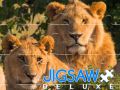 Spel Jigsaw Deluxe online