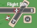 Spel Vliegtuigsimulator online