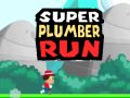 Spel Super Loodgieter Rennen online