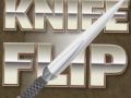 Spel Flipmes online
