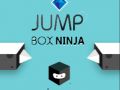Spel Springdoos Ninja online