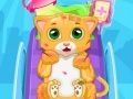 Spel Kleine Kat Arts online