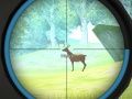 Spel Jagertraining online Spel Jagertraining online