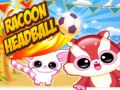 Spel Wasbeer Hoofdbal online