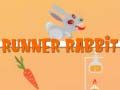 Spel Rennende Konijn online Spel Rennende Konijn online