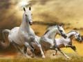 Spel Glijdende Hardlopende Paard online