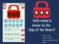 Spel Wachtwoord kraken online