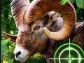 Spel Gekke Geitenjager 2020 online