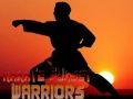 Spel Karate Zonsondergang Krijgers online