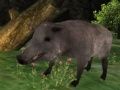 Spel Wildzwijnjacht online