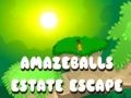 Spel Geweldige Ontsnapping uit Landgoed online