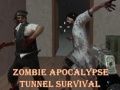 Spel Overleven in de zombie-apocalyps tunnel online