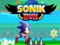 Spel Sonik Rennen online