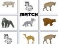 Spel Wedstrijd online