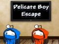 Spel Ontsnapping van de Delicate Jongeman online