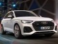 Spel Audi SQ5 TDI Glijden online