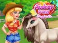 Spel Audrey Pony Kinderopvang online Spel Audrey Pony Kinderopvang online