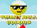 Spel Slimme Bal Kleuren online