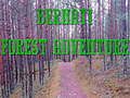 Spel Bernati Bos Avontuur online