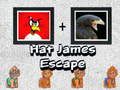 Spel Hoed James Ontsnapping online