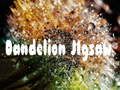 Spel Paardenbloem Puzzel online