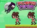 Spel Vliegende Ninja online