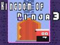 Spel Koninkrijk van Ninja 3 online