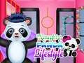 Spel Stoute Panda Levensstijl online
