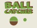 Spel Ballenvanger online