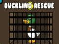 Spel Eendjes redden online