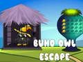 Spel Buho Uil Ontsnapping online