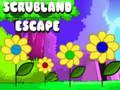 Spel Ontsnapping uit het Struweel online