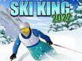 Spel Ski Koning 2022 online