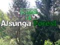 Spel Terug naar het Alsunga-bos online