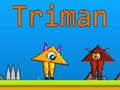 Spel Triman online