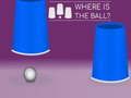 Spel Waar is de bal? online Spel Waar is de bal? online