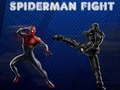Spel Spiderman Gevecht online Spel Spiderman Gevecht online