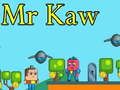 Spel Mijnheer Kaw online