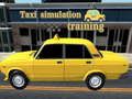 Spel Taxi-simulatieopleiding online