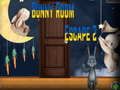 Spel Amgel Bunny Kamperen 2 online